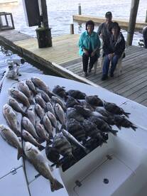 Venice Report Photo 1