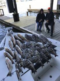 Venice Report Photo 2