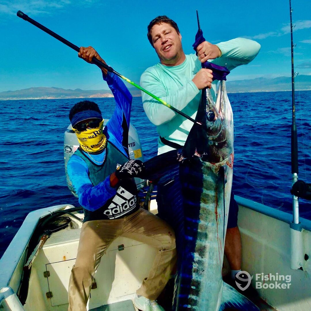 San Jose del Cabo Report Photo 0