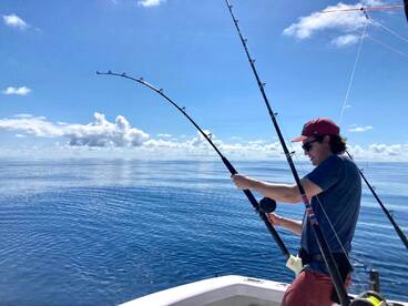 Quepos Report Photo 2