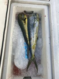 Fort Pierce Report Photo 2