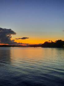 Puerto Jiménez Report Photo 1