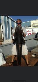 Jacksonville Report Photo 2