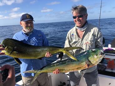 Sydney Report Photo 2