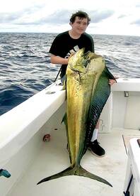 Making the most of it