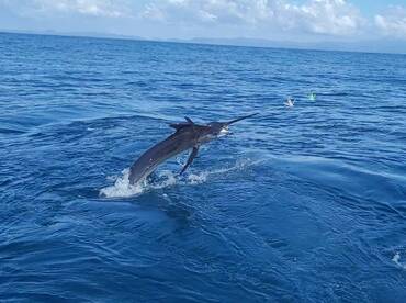 A Fishing Holiday Season in Costa Rica