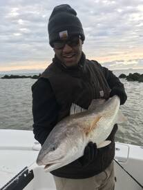 Venice Report Photo 1