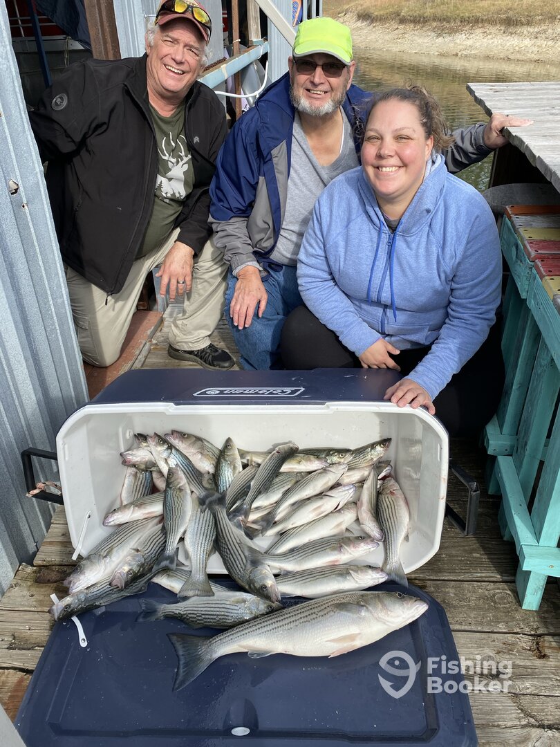 Pottsboro Report Photo 0