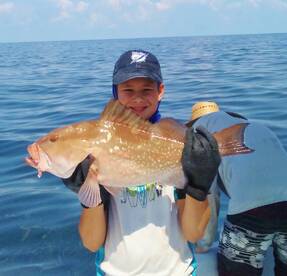 Red Grouper