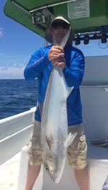 Amberjack