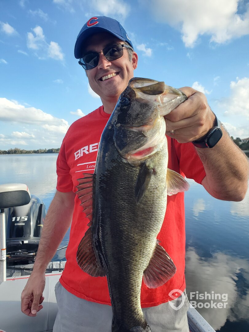 Orlando Report Photo 0