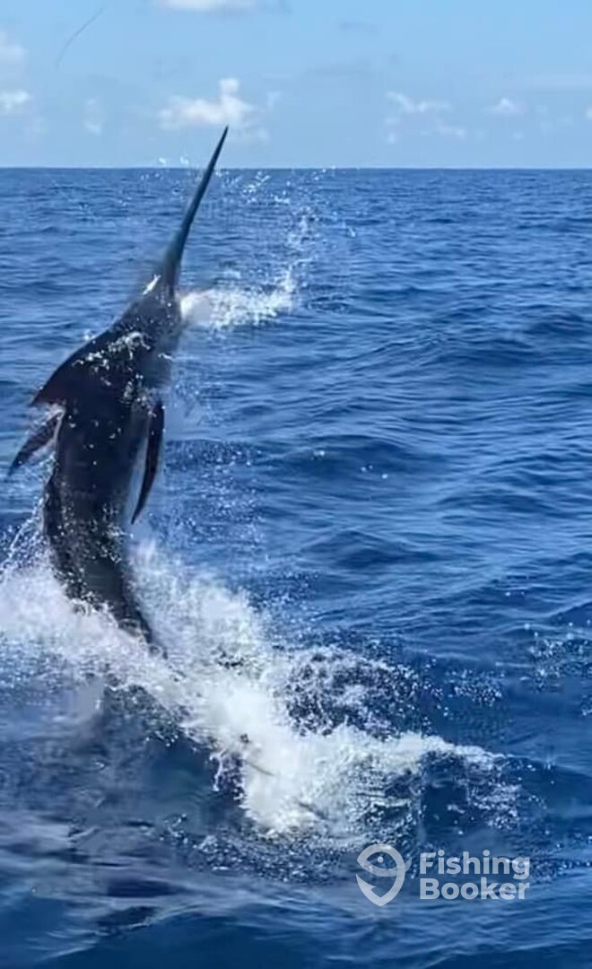 Quepos Report Photo 0