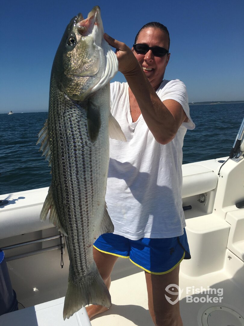 Montauk Report Photo 0