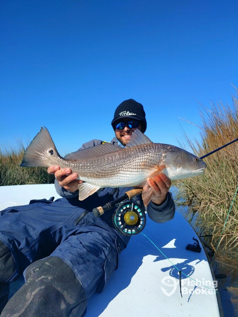 Folly Beach Report Photo 0