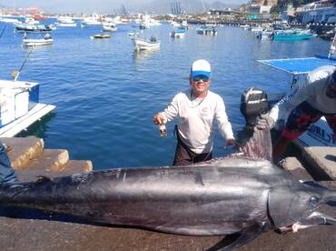 Manzanillo Report Photo 1