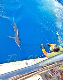 Cabo San Lucas Report Photo 1