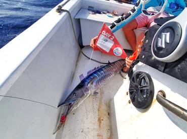 Roatan Report Photo 2