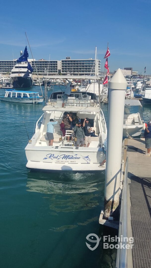 Cabo San Lucas Report Photo 0