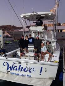 Cabo San Lucas Report Photo 1