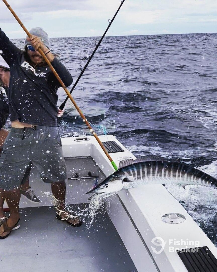 Dania Beach Report Photo 0