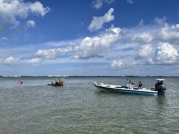 Boyscout Island always comes through.