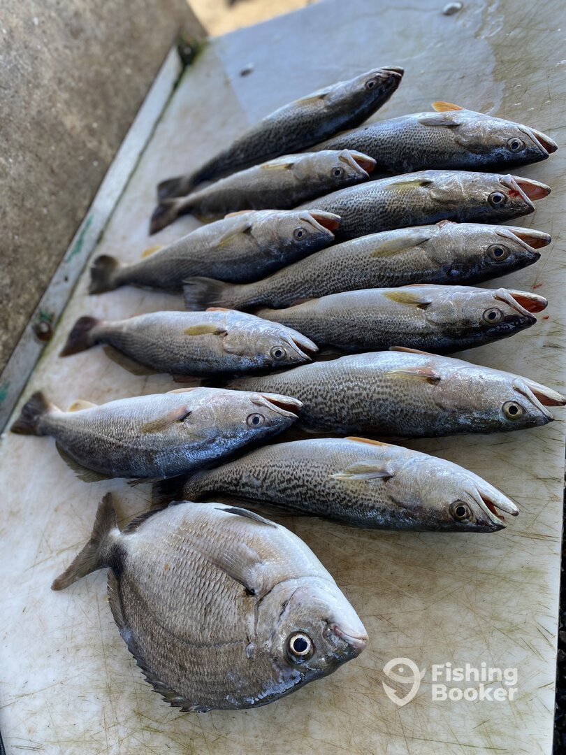 Port Orange Report Photo 0