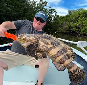 Winter Time Variety!