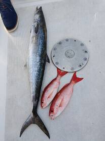 Niceville Report Photo 1