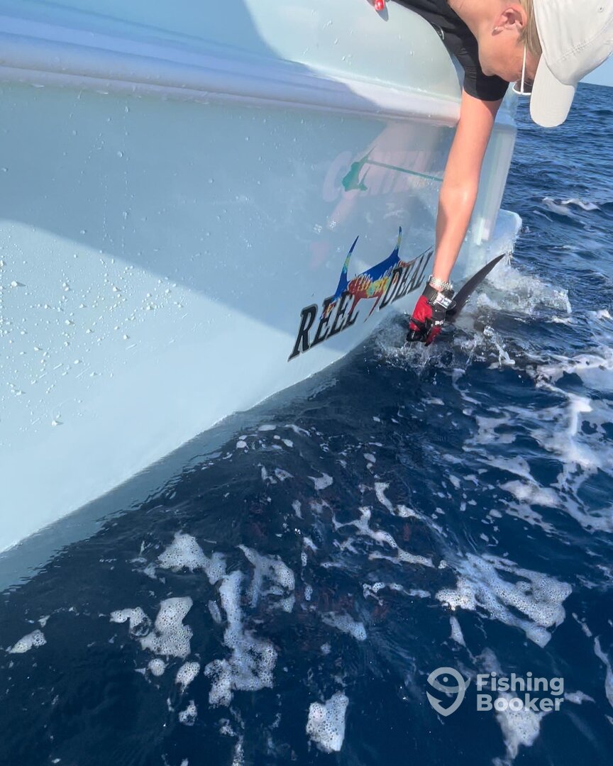 Key Largo Report Photo 0