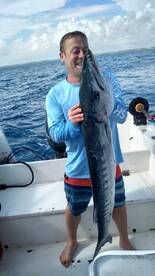 Big Barracuda