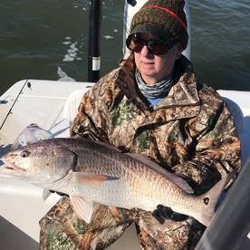 Venice Report Photo 2