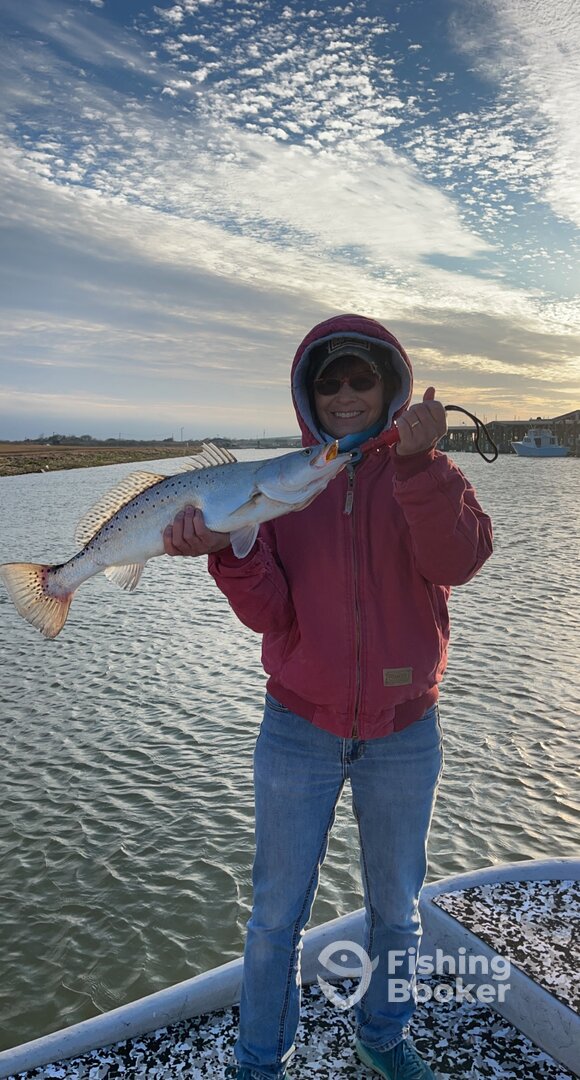 Palacios Report Photo 0