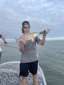 Palacios Report Photo 1