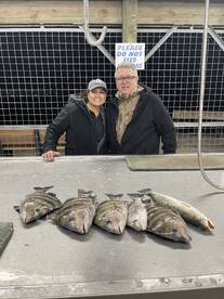 Palacios Report Photo 2