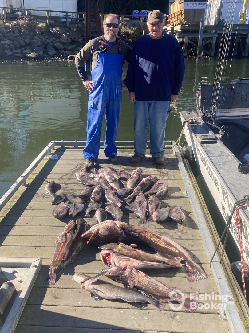 Newport Report Photo 0