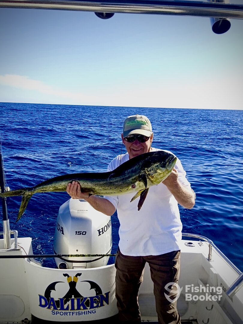 San Jose del Cabo Report Photo 0