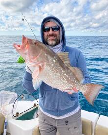Red Grouper 