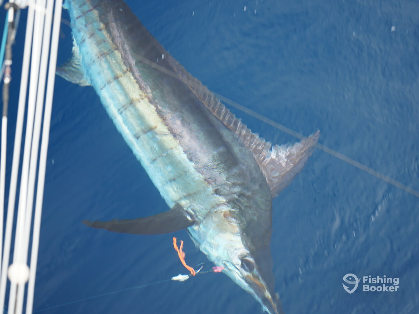 Herradura Report Photo 0