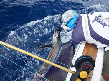 Herradura Report Photo 1