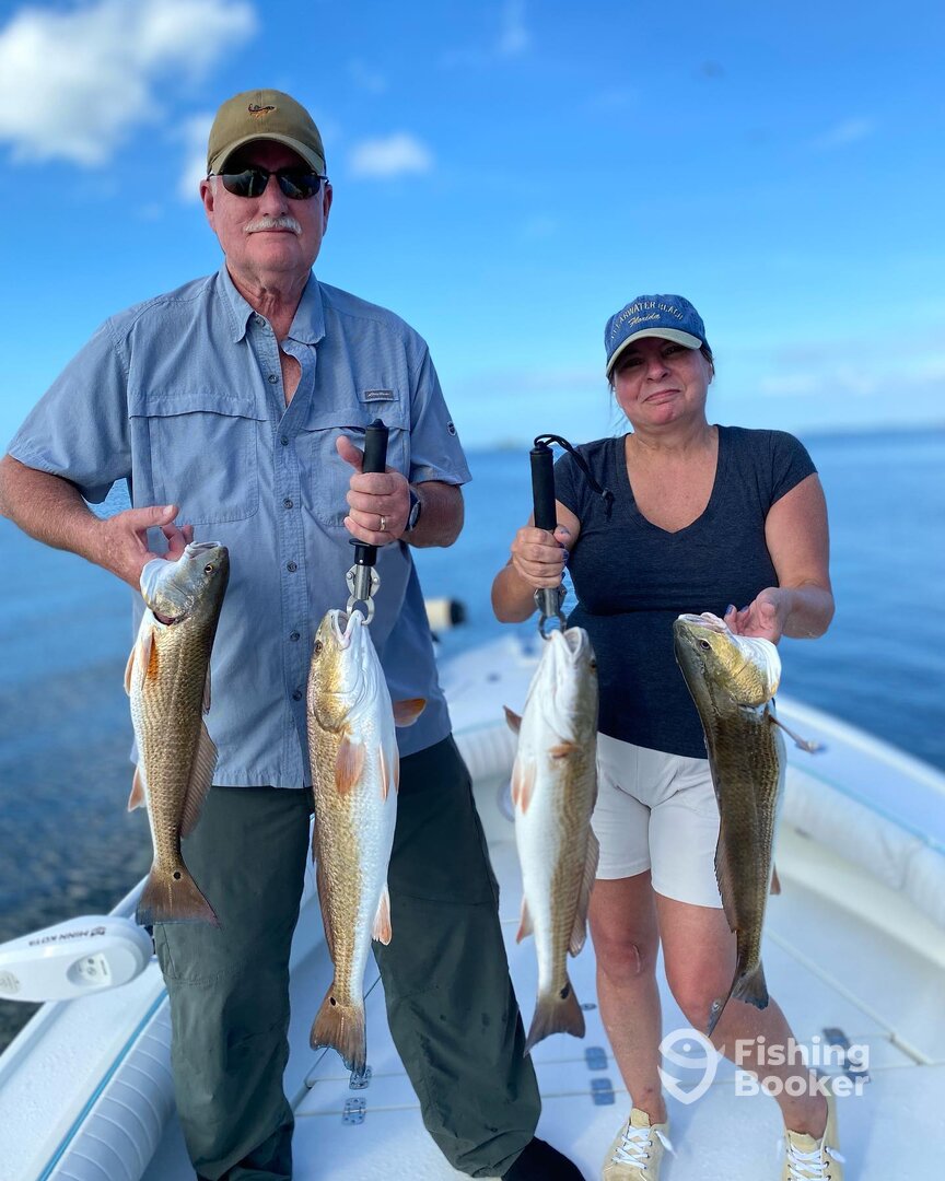 Belleair Bluffs Report Photo 0