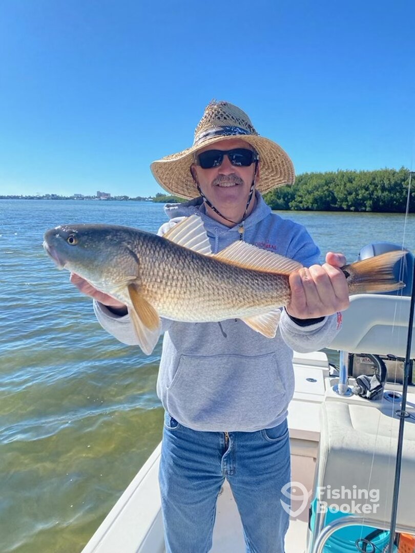 Clearwater Report Photo 0