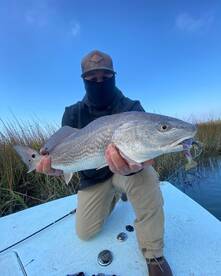 Hilton Head Island Report Photo 1