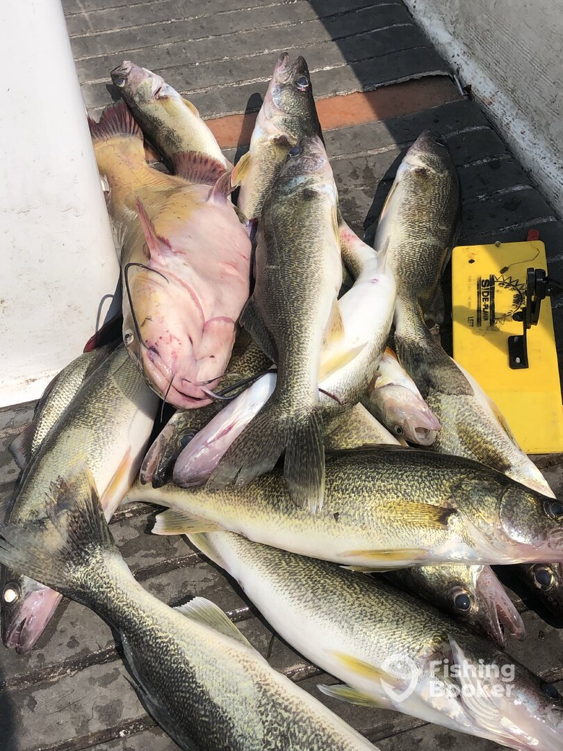 Wyandotte Report Photo 0