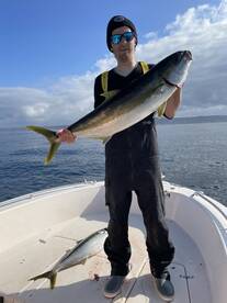 Half day Yellowtail!