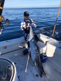 Jacksonville Report Photo 1