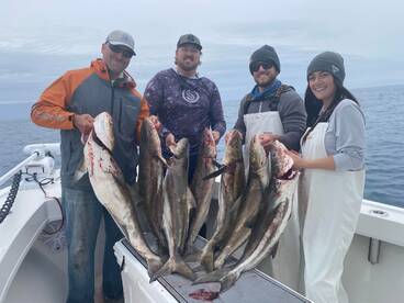 Jacksonville Report Photo 2