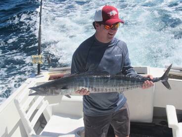 Cabo San Lucas Report Photo 1