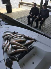 Venice Report Photo 1