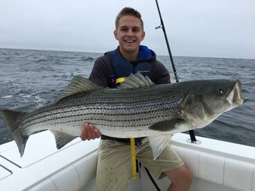 Bourne Report Photo 2