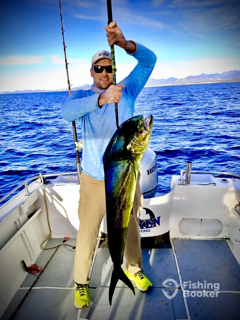 San Jose del Cabo Report Photo 0